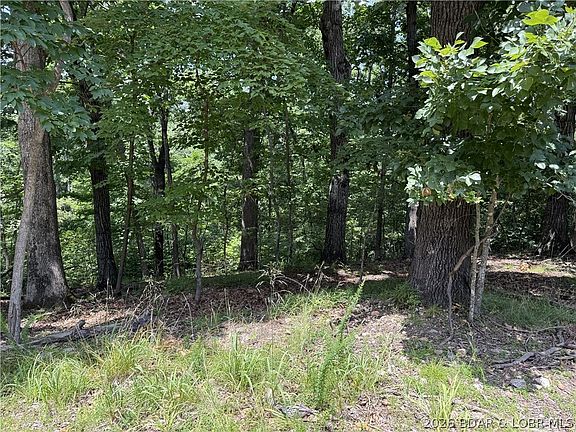 4th image of 736 Fairlawn Dr