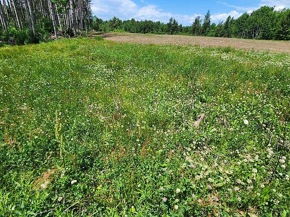 4th image of 0 N Olson Rd