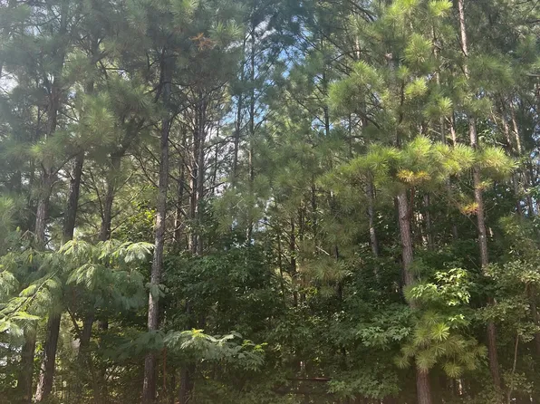 0 Brookview Dr, Loganville, GA 30052