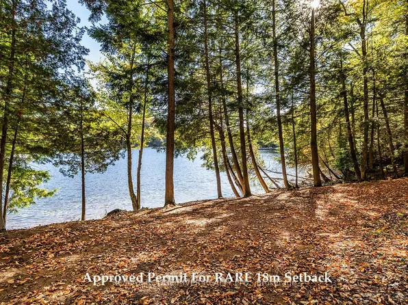 0 Thompson Portage Rd, Lake Of Bays, ON P0A 1H0
