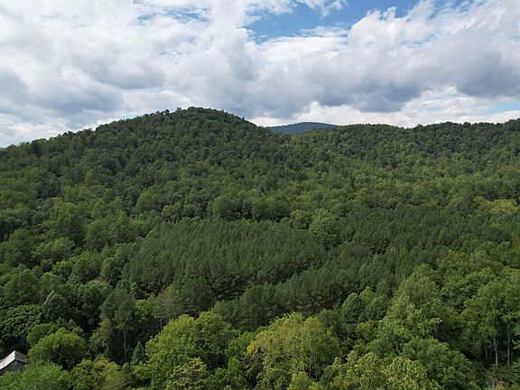 4th image of Hollowback Ln