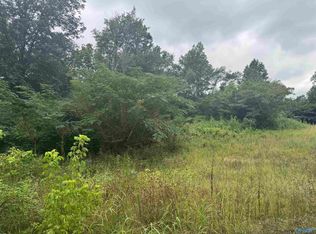 9 Welcome Home Church Rd, Horton, AL 35980