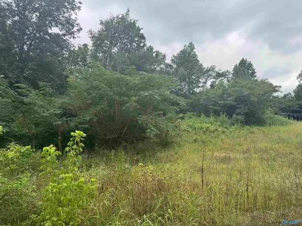 9 Welcome Home Church Rd, Horton, AL 35980