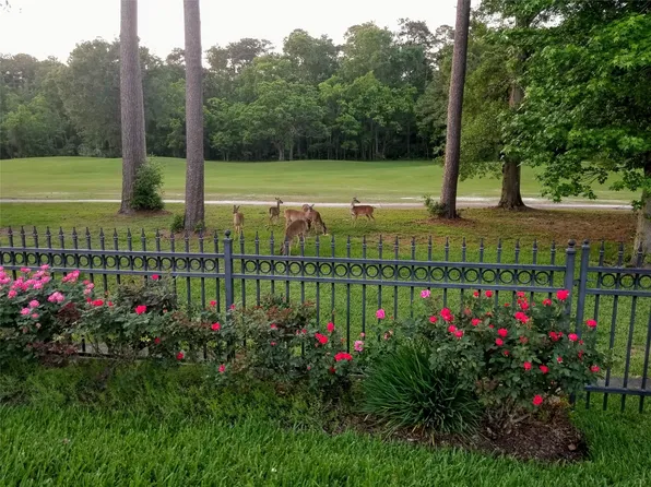 3303 N Cotswold Manor Dr, Kingwood, TX 77339