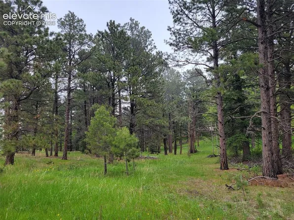 21 Bluebird Hl, Woodland Park, CO 80863