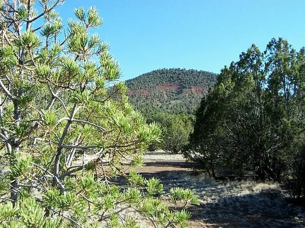 7217 N Audrey Way, Williams, AZ 86046