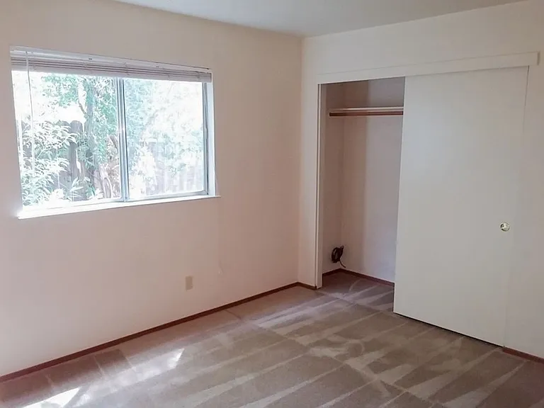 604 Alamine Dr — Photo 10