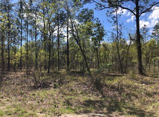 13 NW Commodore Rd LOT 13, Dunnellon, FL 34431