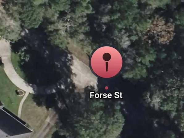 Forse Dr, Woodville, TX 75979