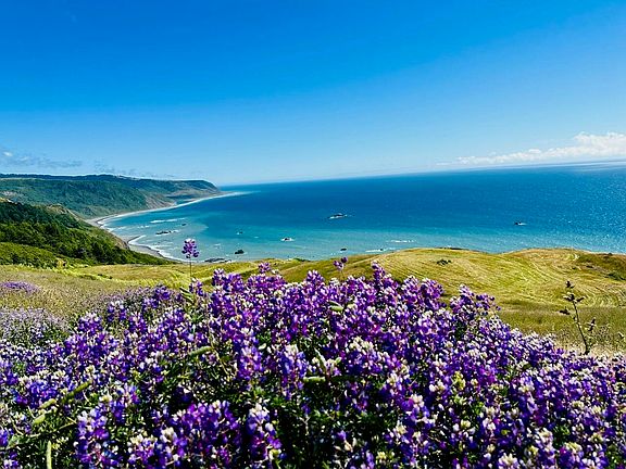 35th image of this home