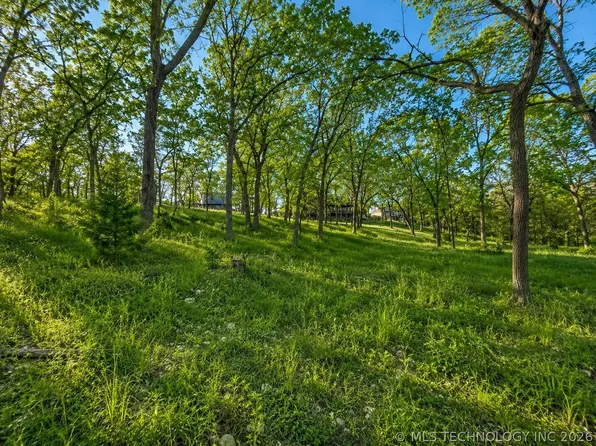 S Coves Dr, Afton, OK 74331