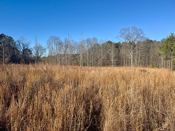 5th image of 451 Pringlewood Rd