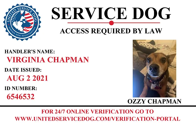 Rented by Compass | media 8