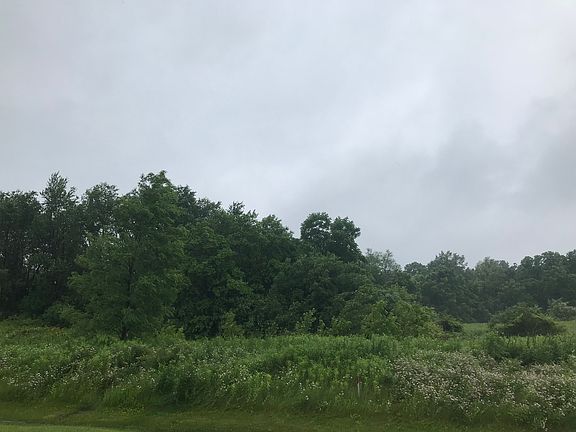 4th image of 15213 Rose Ln