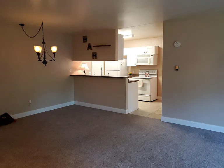 1315 Kirkwood Dr — Photo 12