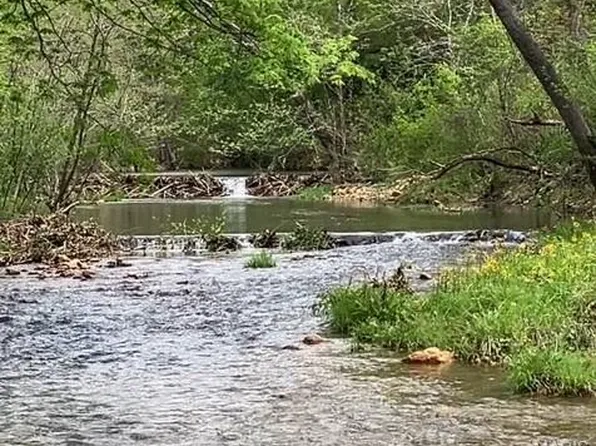 101 Highway N Hwy, Middle Brook, MO 63656