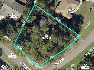 4327 Dottie Ct, Weeki Wachee, FL 34607