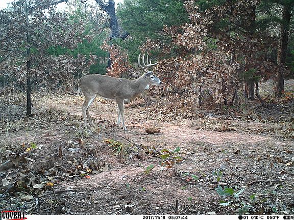 Wake up on a fall morning