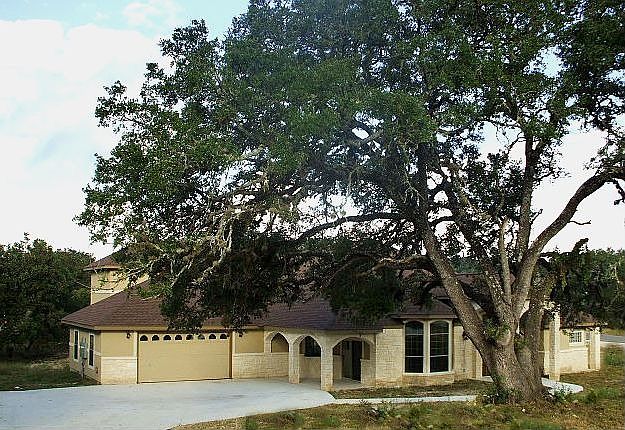 Giant Oak Trees