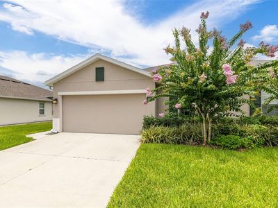 17742 Turning Leaf Cir, Land O Lakes, FL, 34638
