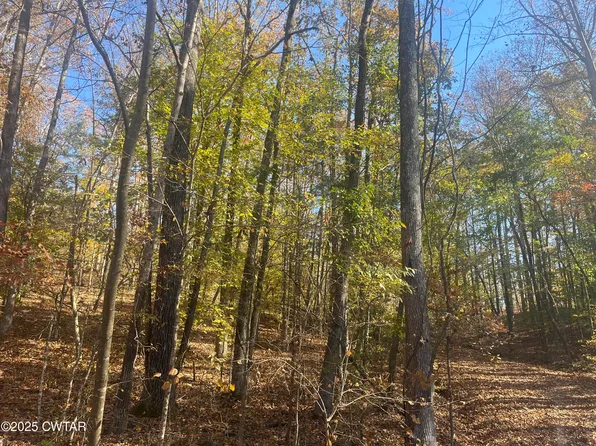 LOT 102 Arrow Head Cir, Parsons, TN 38363