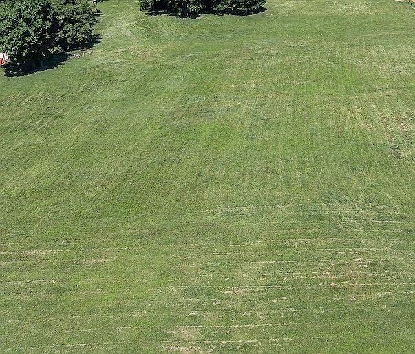 1st image of 11354 Jim Hall Rd #601