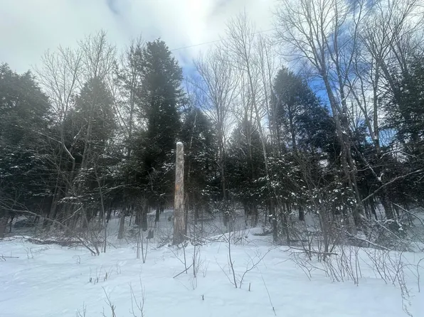 Co Op Rd Lot 1, Phelps, WI 54554