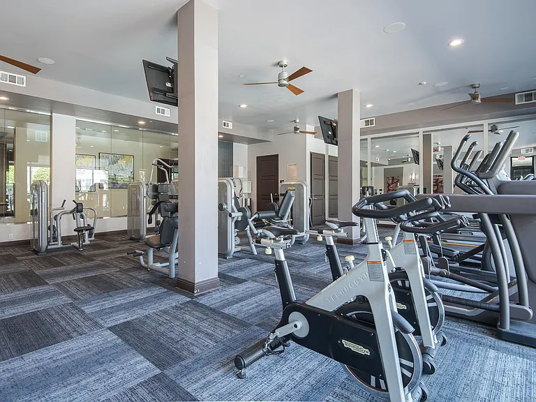 Fitness Center with Training Equipment