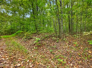 21 Timber Ridge Ln, Celina, TN 38551