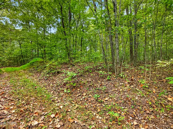 21 Timber Ridge Ln, Celina, TN 38551