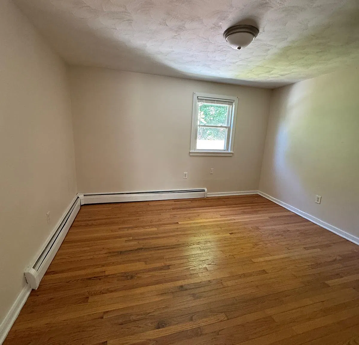 3 bed, $1,700 — Photo 4