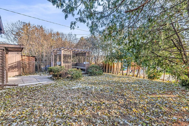 Brampton House for rent - 3 Bedrooms — photo 28