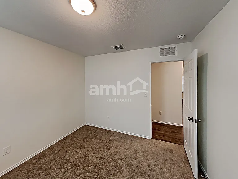 213 Texas Thistle — Photo 19