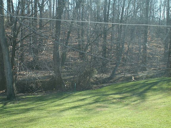 Wooded view private patio
