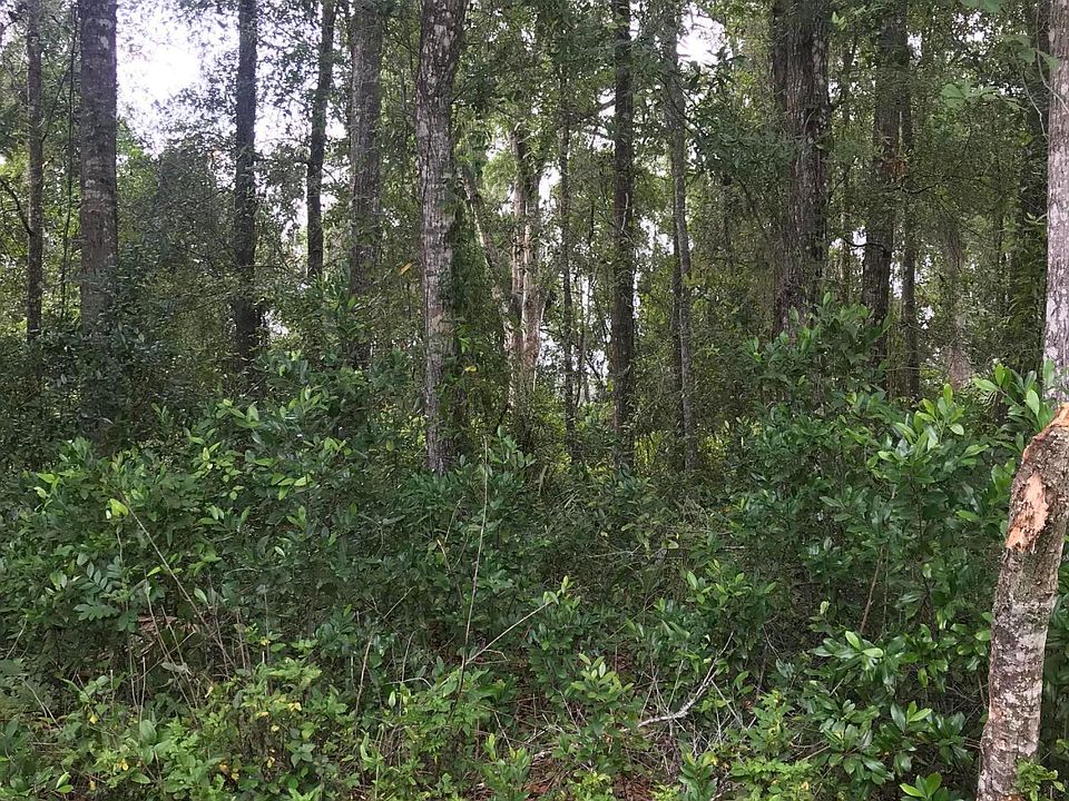 2nd image of 130 Georgetown Point Rd