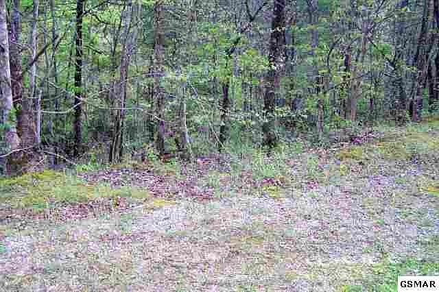 1st image of 0 Smoky Mountain Lot 136