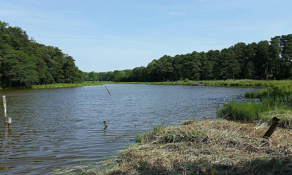 lot is across creek