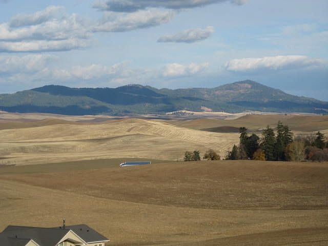 2nd image of Tbd Kitzmiller Rd