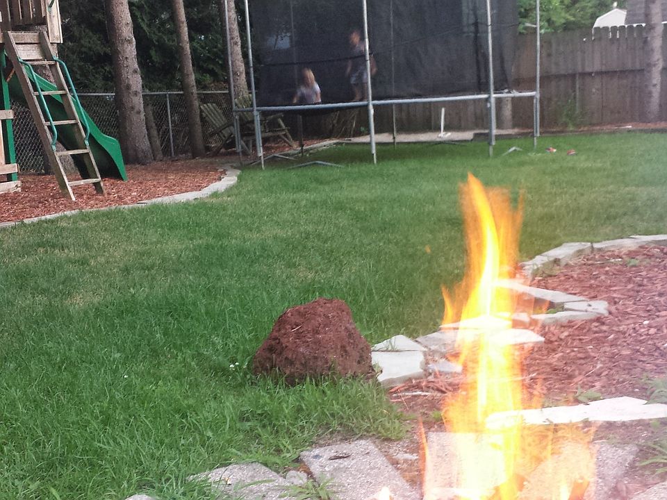  Beautfull backyard!!!!