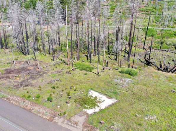 7403 Winding Way, Grizzly Flats, CA 95636