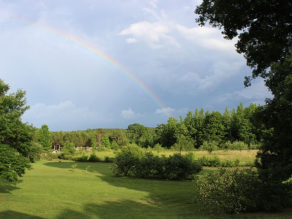 view from back porch