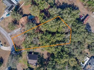 SE 143rd St LOT 6, Summerfield, FL 34491