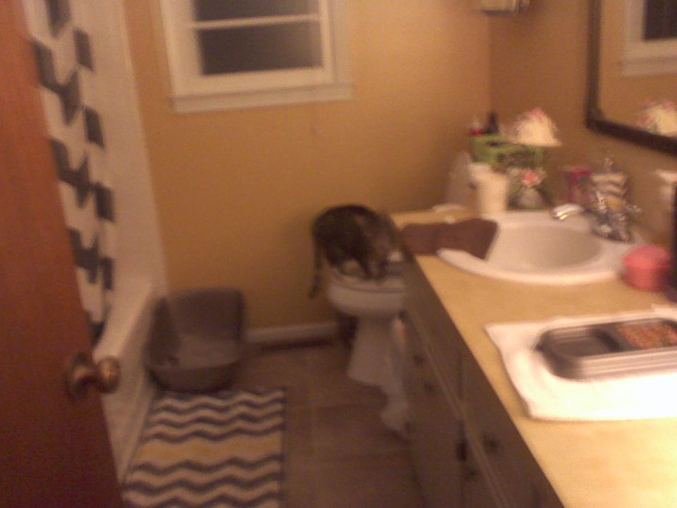 Main bathroom 