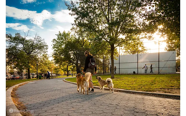 Sold by Douglas Elliman | media 28