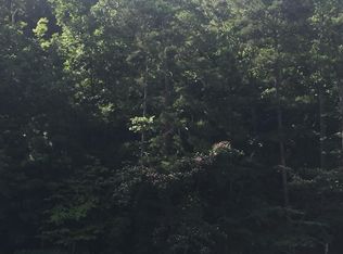 Carp Ln, La follette, TN 37766