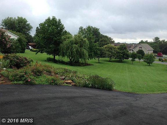 Spring/Summer Picture