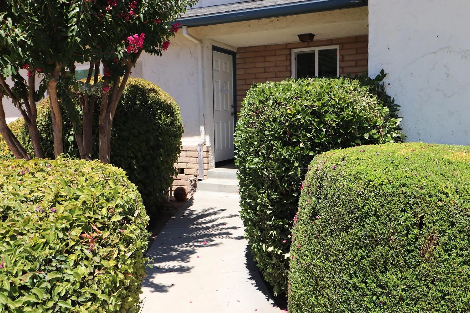 3 bed, 1439 sqft, $2,300 — Photo 2