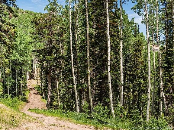 3rd image of 200 White Pine Canyon Rd #200