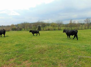 3032 Highway 221 S, Berryville, AR 72616
