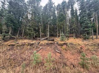 29 San Andres Cir, Angel Fire, NM 87710